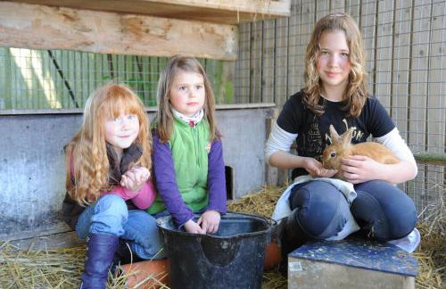 Bauernhof Koehlbrandt - Foto 82