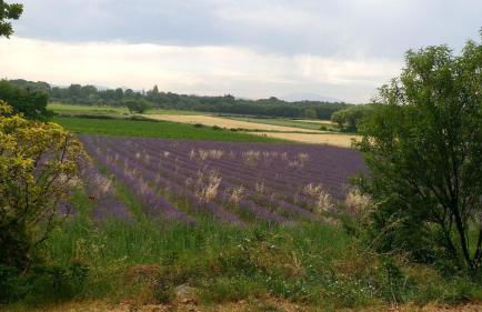 Maison en Drôme Provençale - Foto 27