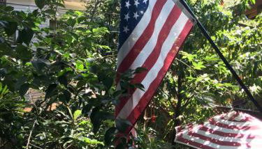 Midtown Vibe - Foto 4, Garden