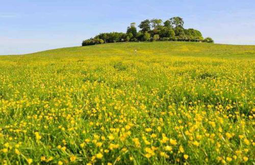 Oxfordshire Country Cottage - Foto 62