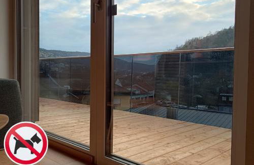 Ferienwohnungen am Schlossberg - Foto 7