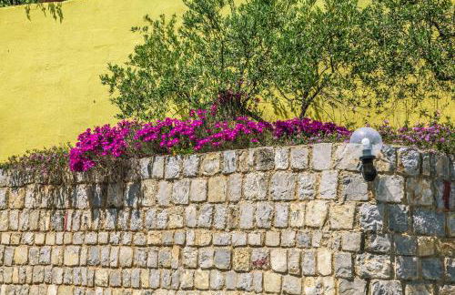 Le Terrazze Palinuro - Foto 62