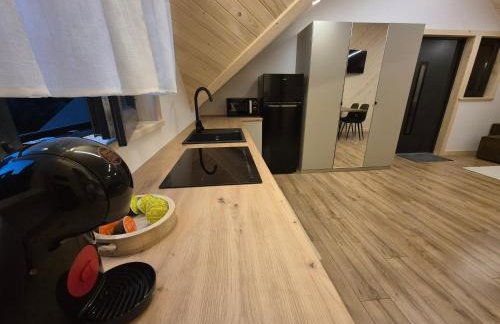 Apartament z prywatną wanną z hydromasażem - U Parów - Foto 78