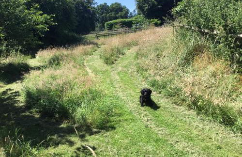 Quoit X Barn - Foto 35