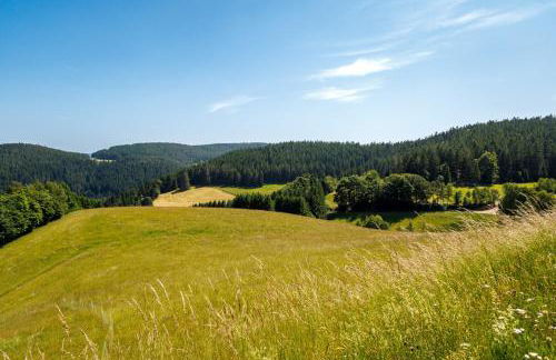 Hinterhauensteinhof - Foto 7