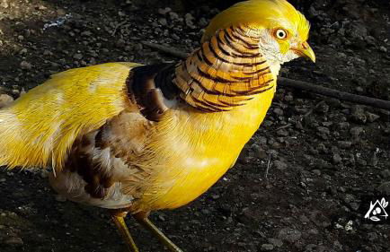 Quinta do Paraíso - Photo 41