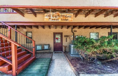 Gotch Eyed Moose - Foto 23