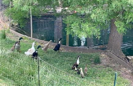 Exquisite 1-bedroom apartment with on-site parking - Foto 25