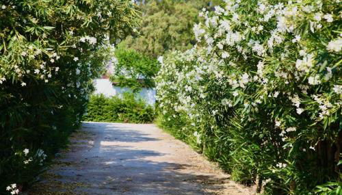 18 Person Bachelorette Pool Parties - Photo 3