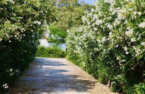 18 Person Bachelorette Pool Parties - Photo 3