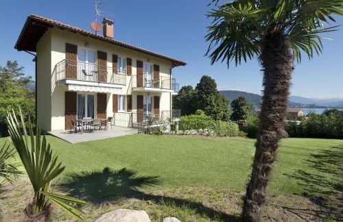 Agrifoglio - Foto 14