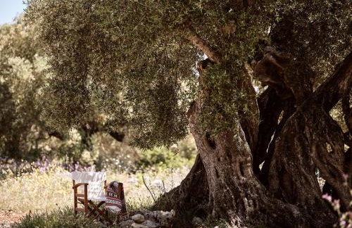 Dounias Village Home - Traditional Architecture & Modern Luxury, by ZanteWize - Photo 74