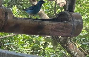 Origem Lounge - Foto 19