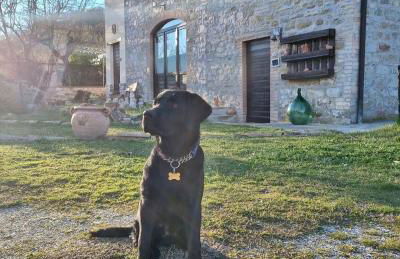 Domus Laetitiae Santa Croce - Foto 29