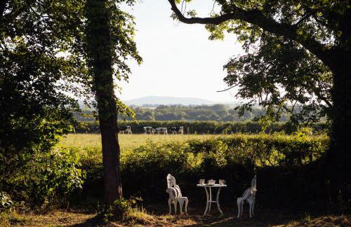 Cwtch Ffynnone Luxury Shepherds Hut - Foto 40