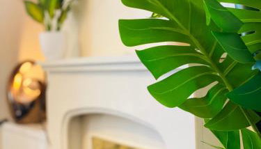 Mount Pleasant Retreat - Foto 3