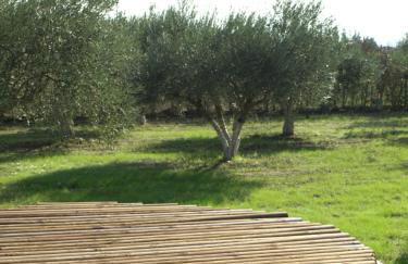 ΠΑΛΗΟΚΤΗΜΑ - Palioktima - Photo 25