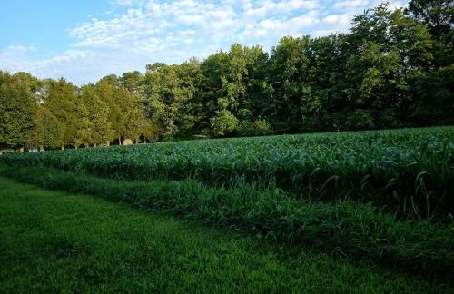 Swan Hollow - Foto 46