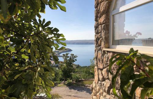 Apartment Stinica 31b - Photo 5