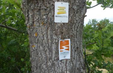 Ferienwohnung Funk - Foto 26