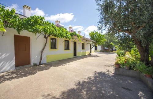 Oliveira Country House - Foto 8