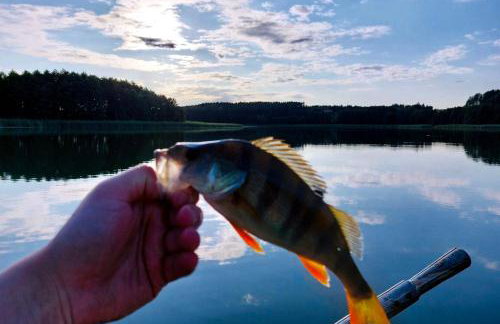 Pasterzewo 19 - Domki na Mazurach - Foto 30