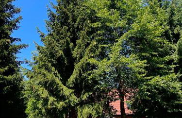 Sielanka Kretowiny - Foto 58