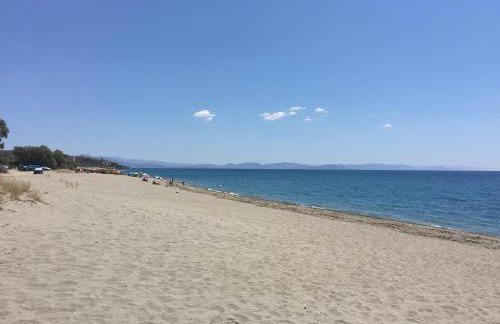 Elaianthos 1 - Foto 12