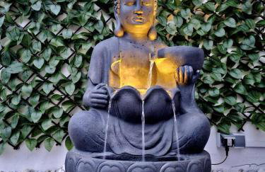 Buen Estar, piscina, barbacoa, jacuzzi en Valencia - Photo 1