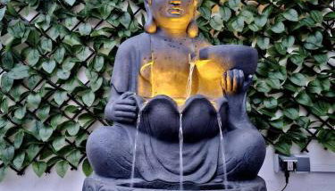 Buen Estar, piscina, barbacoa, jacuzzi en Valencia - Foto 1