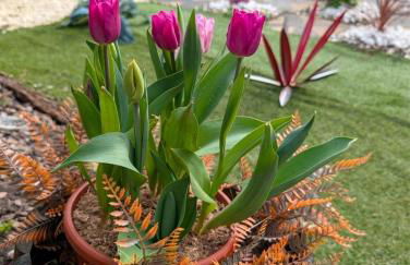 Chic and Cozy, 3 Min from Kingsholm, Parking Incl - Foto 24