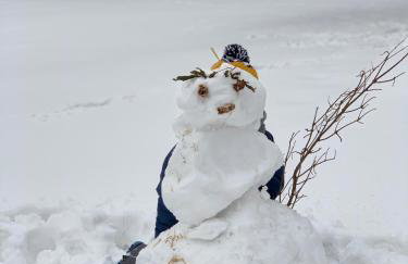 U Ewy pod Brzozami - Foto 8