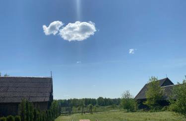 ŚwiętySpokój Puszcza - Foto 18