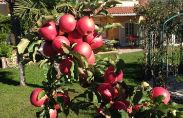 Villa Raifer - Foto 32