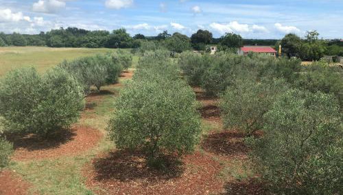 Villa Lydia - Foto 5