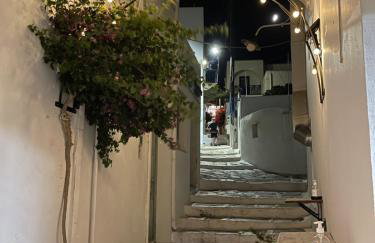 Amedi Villas Tinos - Foto 69