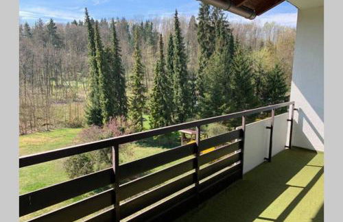 PRIEN Spacious Roof Top Maisonett Apartment at Lake Chiemsee - Foto 5