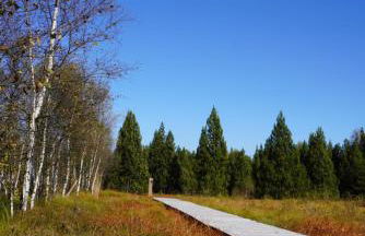 Ferienhaus am Erzgebirgskamm - Foto 27