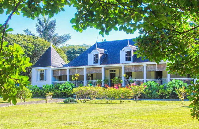 Mauritius Island Private Tea Tour - Foto 8