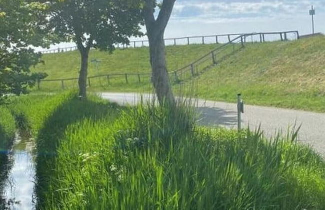 Home Port Modern Retreat - Foto 14