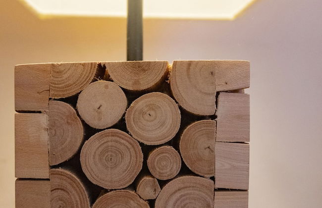 Casas de Campo do Castro da Cola - Foto 28