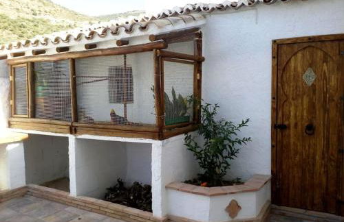 El Ventorrillo la alegría - Photo 4