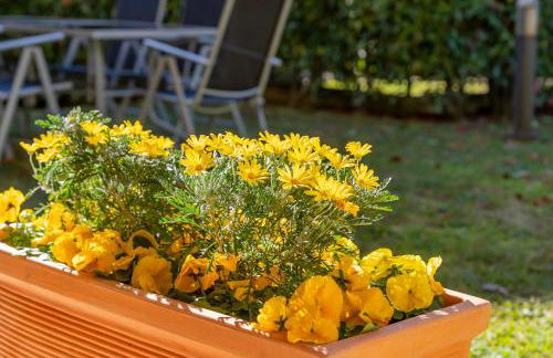 giardino e piscina apartment - Photo 77