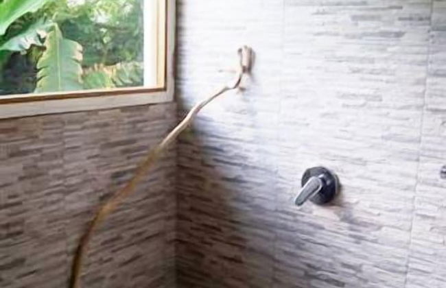 Castaway Lodge - Photo 22