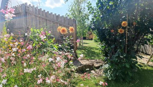 AMARRÉ Gîte Bambou T2 Chambre indépendante - Foto 3