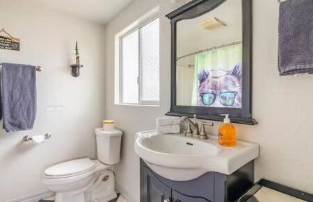 Black Bear Haven Hot tub Pool table BBQ Darts - Foto 20