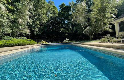 Woodland Paradise - Foto 3