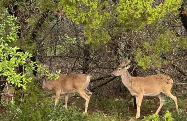 Above All Luxury Lodge - Foto 41