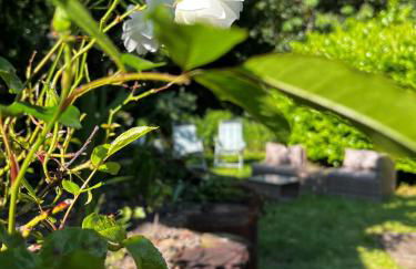 Shed Gwely - Foto 27