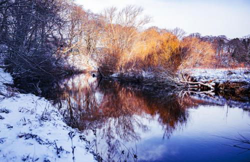 East Wing Apartment in Elgin - Foto 85